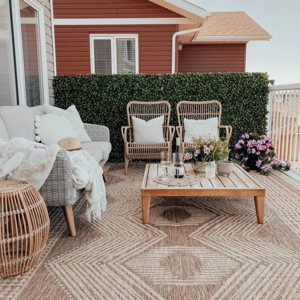 Expandable plant trellis (green structure), 39 x 78″