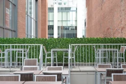 Expandable plant trellis (green structure), 39 x 78″