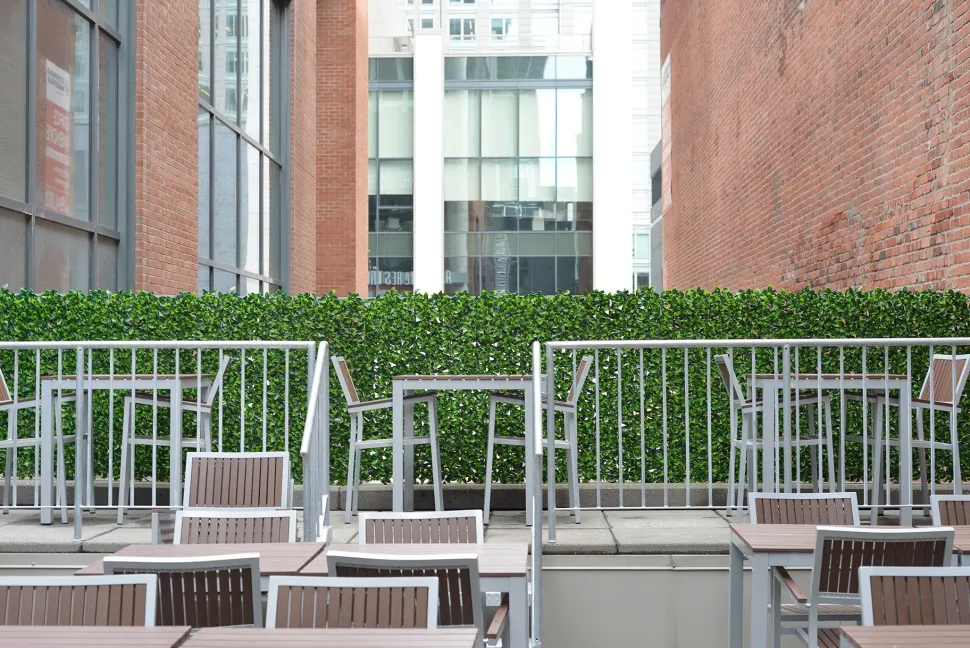 Expandable plant trellis (green structure), 39 x 78″