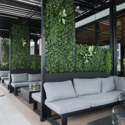 Expandable plant trellis (green structure), 39 x 78″