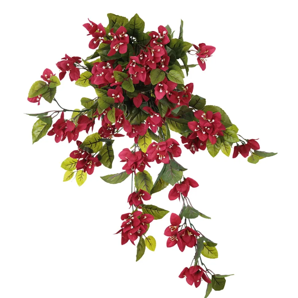 Exterior bougainvillea hanging bush, 30,5″