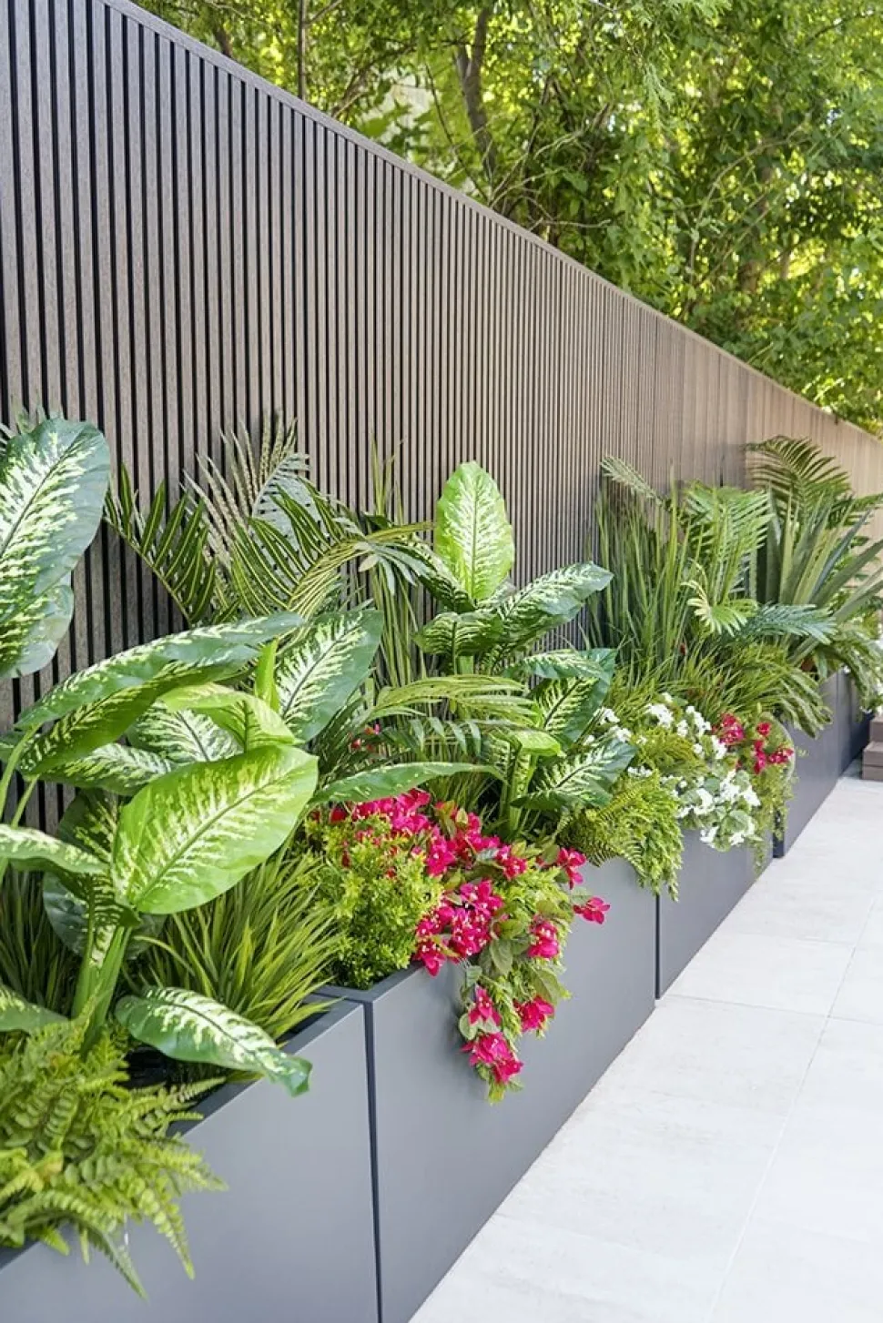 Exterior bougainvillea hanging bush, 30,5″