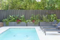 Exterior bougainvillea hanging bush, 30,5″