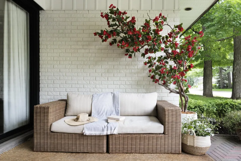 Exterior bougainvillea hanging bush, 30,5″