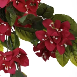 Exterior bougainvillea hanging bush, 30,5″