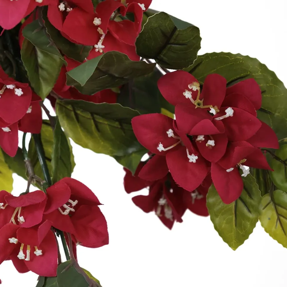 Exterior bougainvillea hanging bush, 30,5″