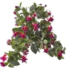Exterior fuchsia hanging bush, 35″