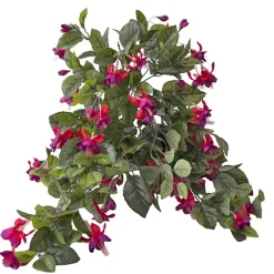 Exterior fuchsia hanging bush, 35″