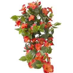 Exterior orange hibiscus hanging bush, 35″