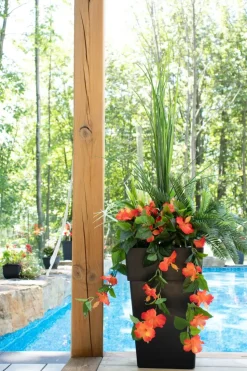 Exterior orange hibiscus hanging bush, 35″