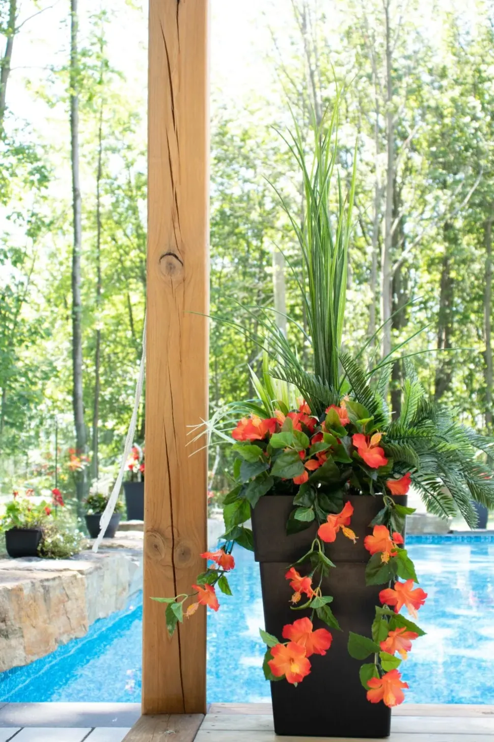 Exterior orange hibiscus hanging bush, 35″