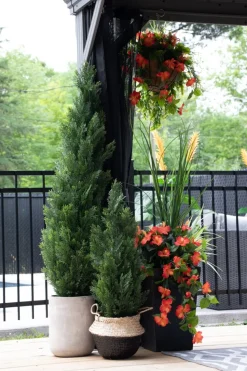 Exterior orange hibiscus hanging bush, 35″