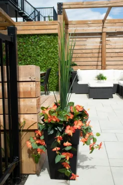 Exterior orange hibiscus hanging bush, 35″