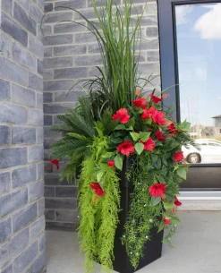 Exterior red hibiscus hanging bush, 35″