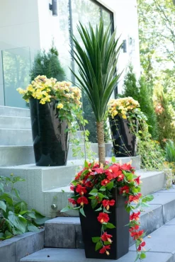 Exterior red hibiscus hanging bush, 35″