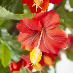 Exterior red hibiscus hanging bush, 35″