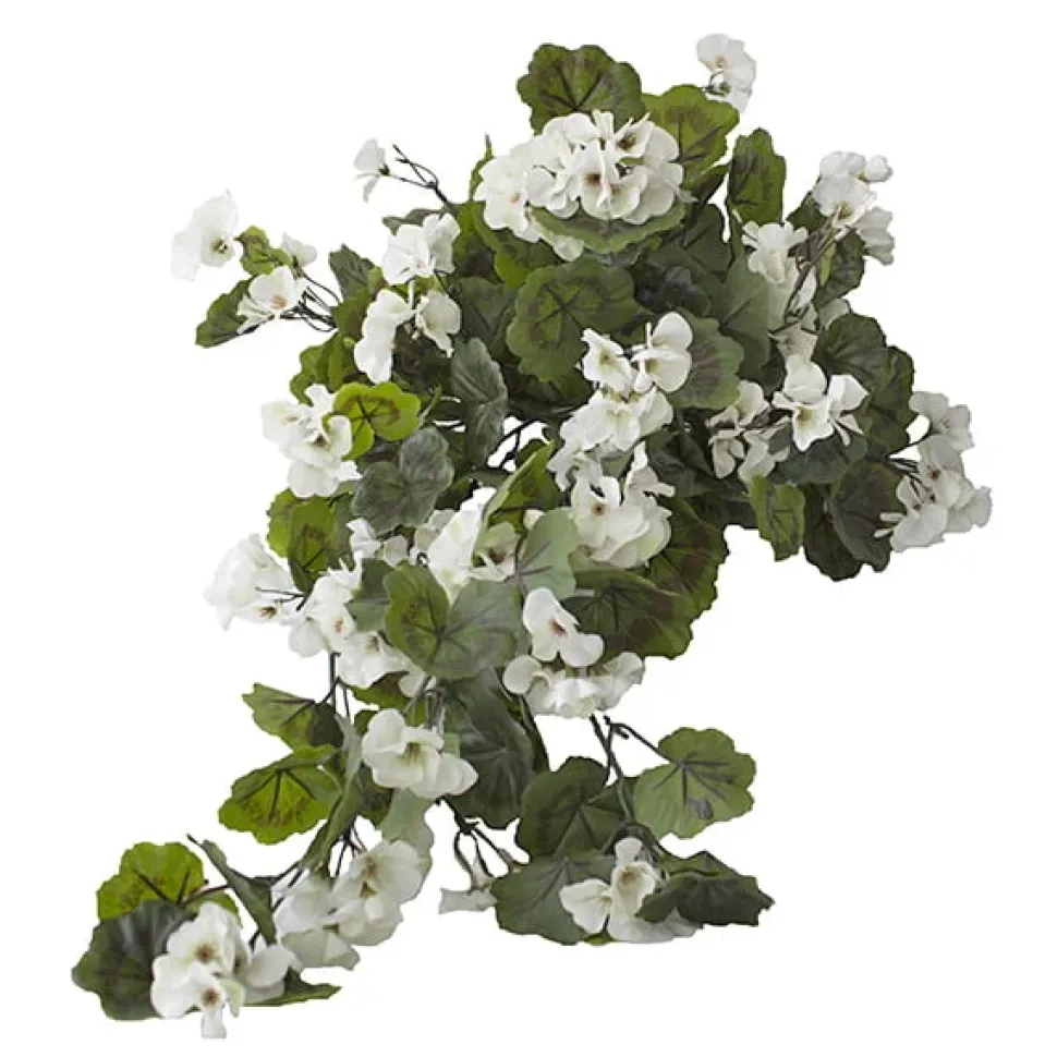 Exterior white geranium hanging bush, 35″