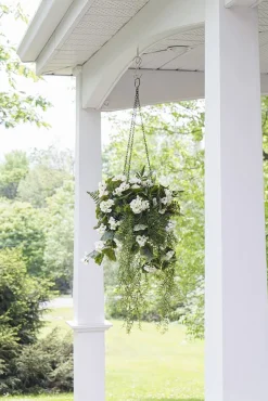 Exterior white geranium hanging bush, 35″