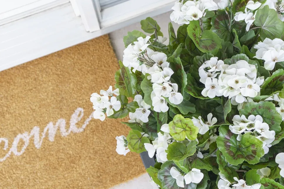 Exterior white geranium hanging bush, 35″