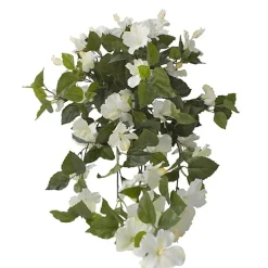 Exterior white hibiscus hanging bush, 35″