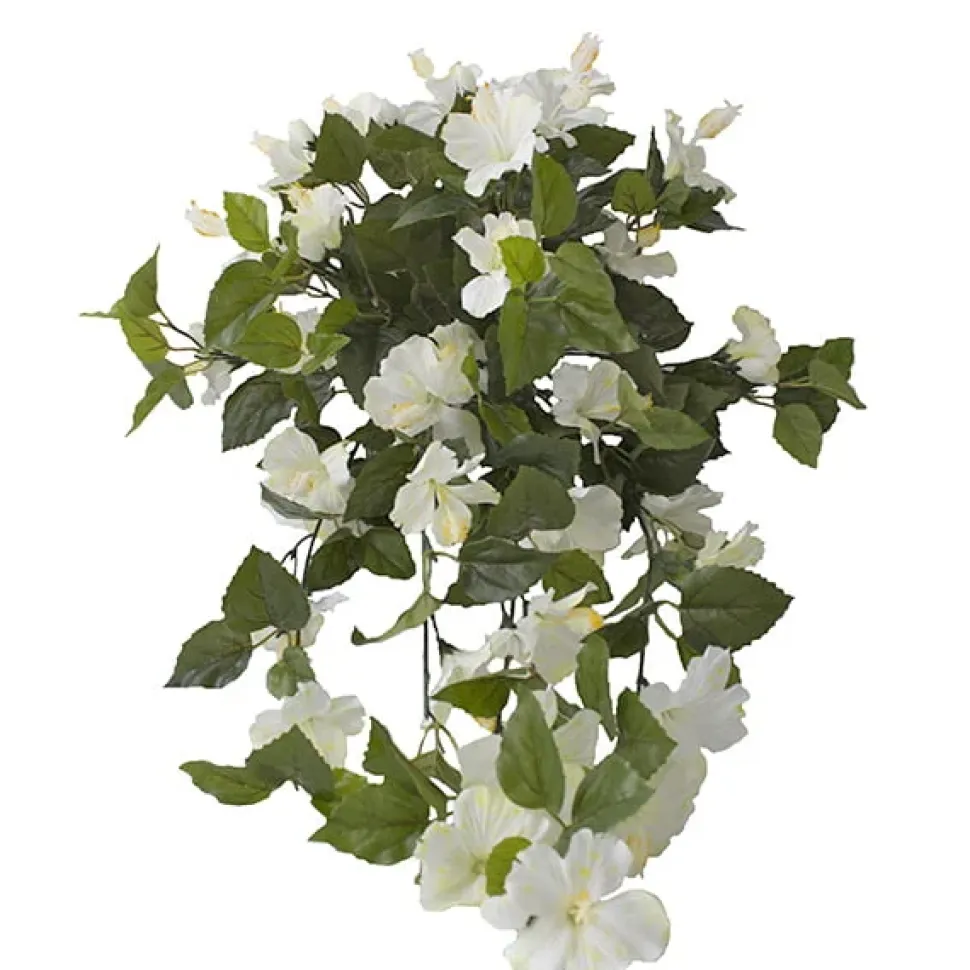 Exterior white hibiscus hanging bush, 35″