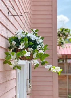 Exterior white hibiscus hanging bush, 35″