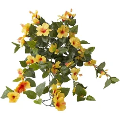 Exterior yellow hibiscus hanging bush 35″