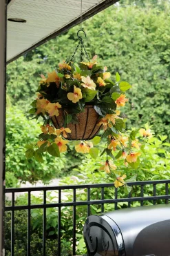Exterior yellow hibiscus hanging bush 35″