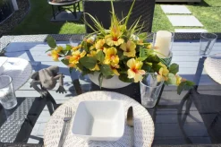 Exterior yellow hibiscus hanging bush 35″