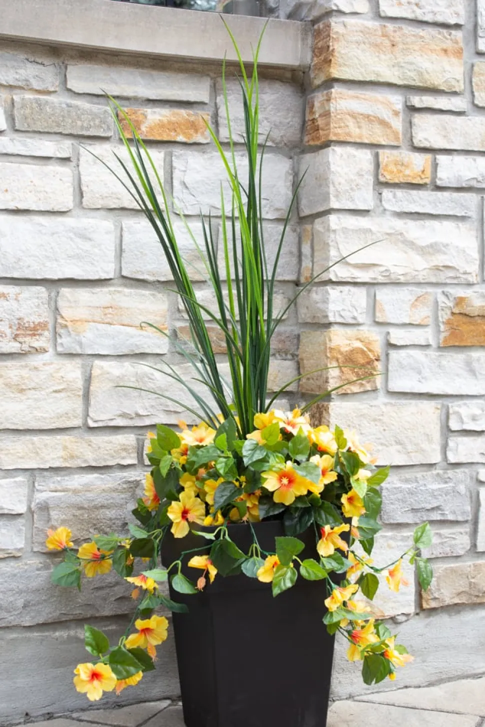 Exterior yellow hibiscus hanging bush 35″