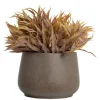 Fall foliage in a fibercement pot