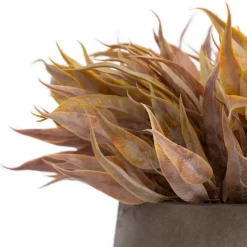 Fall foliage in a fibercement pot