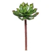 Faux echeveria vert, 12″
