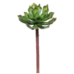 Faux echeveria vert, 12″