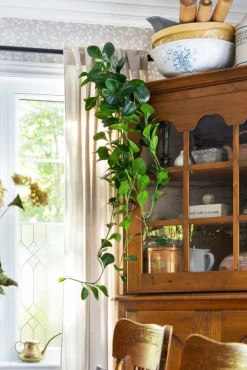 Feuillage de jade retombant vert artificiel, 48″