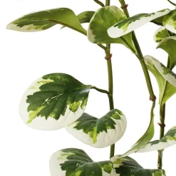 Feuillage de jade retombant bicolore artificiel, 48″