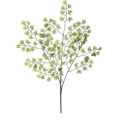Feuillage de maidenhair 23″