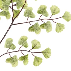 Feuillage de maidenhair 23″