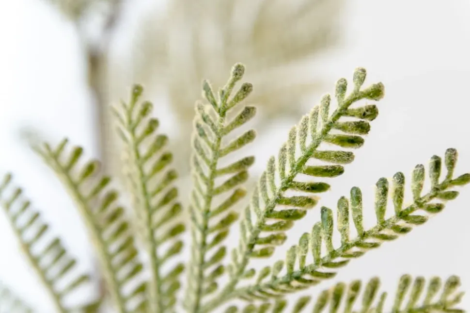 Feuillage de mimosa artificiel, 34″