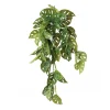 Feuillage de monstera andansonii artificiel au toucher réel, 22″
