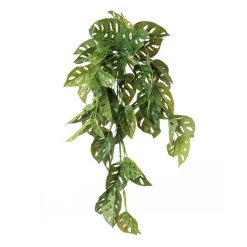Feuillage de monstera andansonii artificiel au toucher réel, 22″
