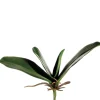Feuillage de phalaenopsis artificiel, 8″