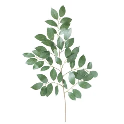 Feuillage de sakaki 26″