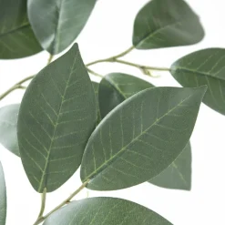 Feuillage de sakaki 26″