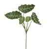 Feuillage d’alocasia, 32″