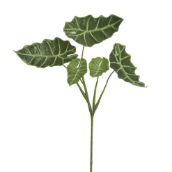 Feuillage d’alocasia, 32″
