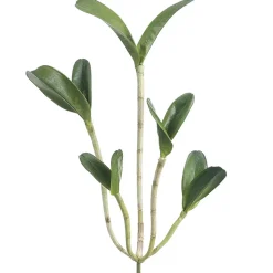 Feuillage d’orchidée cattleya artificielle, 22″
