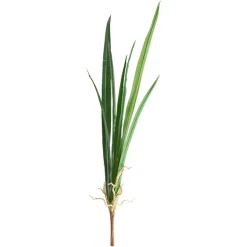 Feuillage d’orchidée 28″