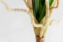 Feuillage d’orchidée 28″