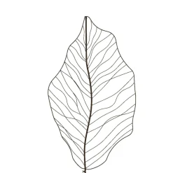 Feuille décorative extérieure en fer noir, 72 x 32″
